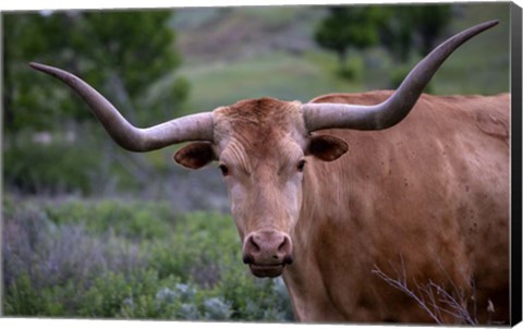 Framed Enter the Badlands 5 Print