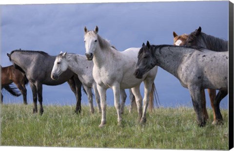Framed Enter the Badlands 7 Print