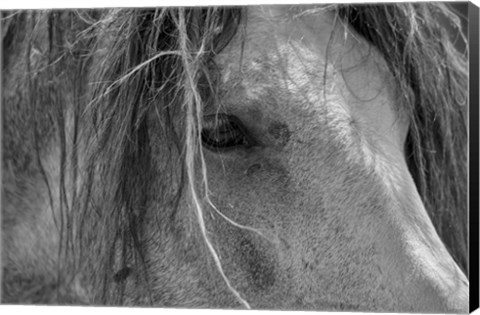 Framed Enter the Badlands B&amp;W 1 Print