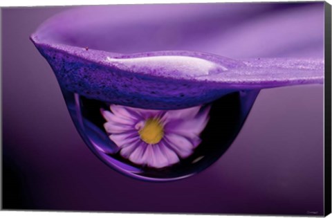 Framed Water Drops 4 Print