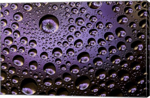 Framed Window Drops 1 Print