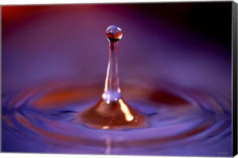 Framed Drop Splash 2 Print