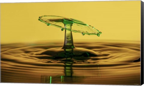 Framed Liqiud Splash 1 Print