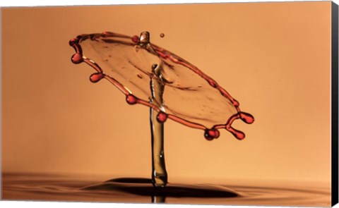 Framed Liquid Splash 2 Print