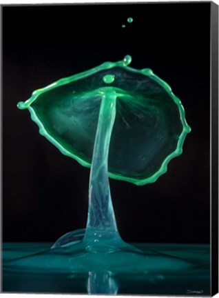 Framed Liquid Splash 4 Print