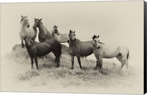 Framed Badlands Antique 2 Print