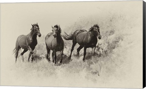 Framed Badlands Antique 3 Print