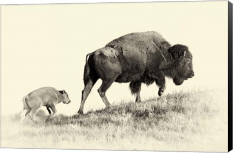 Framed Badlands Antique 6 Print