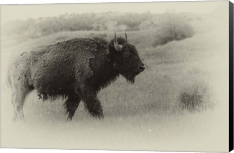 Framed Badlands Antique 12 Print