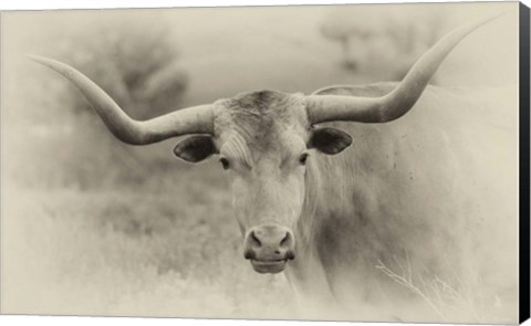 Framed Badlands Antique 14 Print