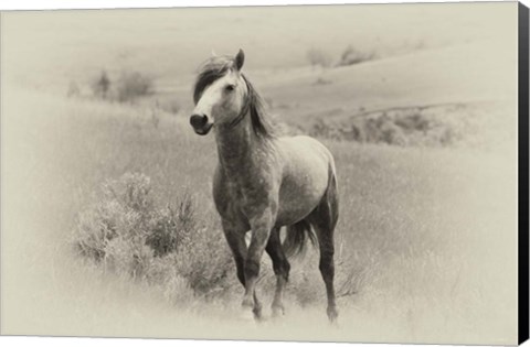 Framed Badlands Antique 15 Print
