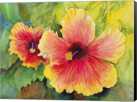 Framed Bright Colored Hibiscus Print