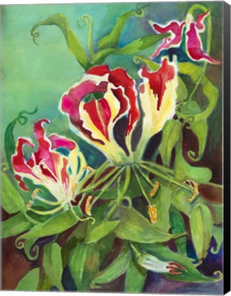 Framed Flame Lilies Print
