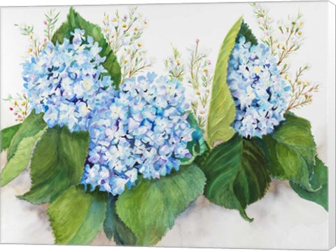 Framed Hydrangea and Wax Flower Print