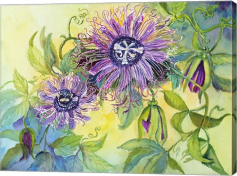 Framed Lavender Passion Plant Print