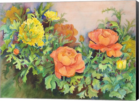 Framed Ranunculus Mix Print