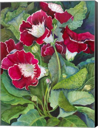 Framed Red Gloxinia Print