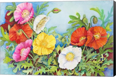 Framed Small Colorful Poppies Print