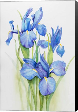 Framed Stems of Blue Iris Print