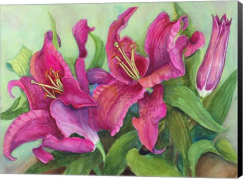 Framed Vibrant Red Lilies Print