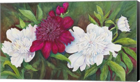 Framed Ruby Peony Print