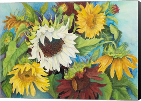 Framed White Sunflower Print