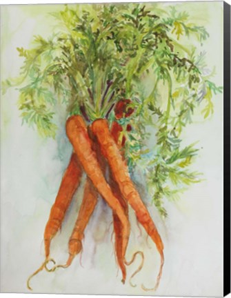 Framed Carrots Print