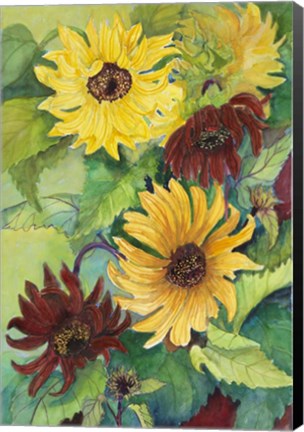 Framed Light and Dark Sunflower Print