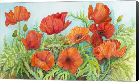 Framed Poppies in a Field Print