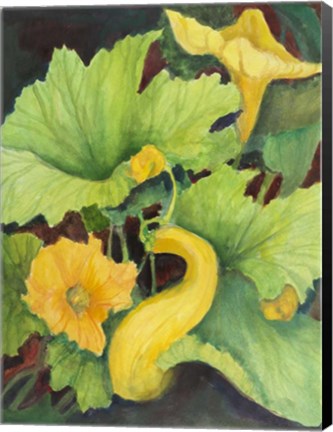 Framed Squash Print