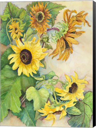 Framed Sunflowers Reaching for the Sun Print