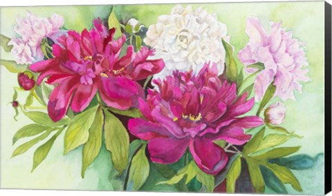 Framed Three Colors of Peonies Print