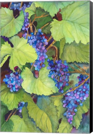 Framed Wine Grapes Print