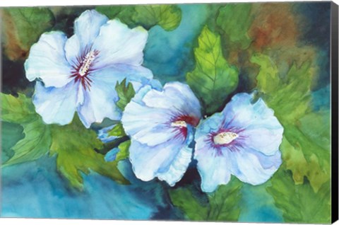 Framed Hibiscus with Red Centers Print