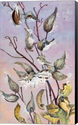 Framed Milkweeds Print