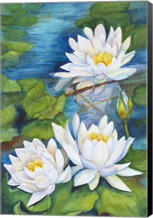 Framed White Waterlilies Print