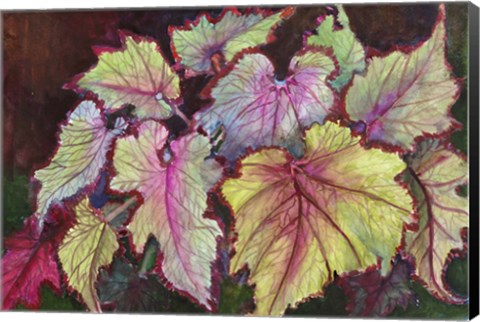 Framed Jurassic Begonia Print