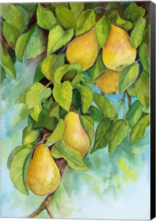 Framed Pears 2 Print
