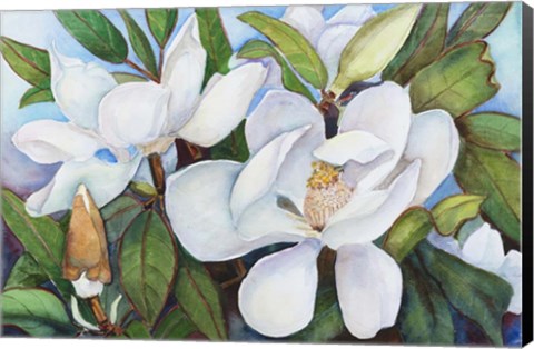 Framed Magnolia with Blue Sky Print
