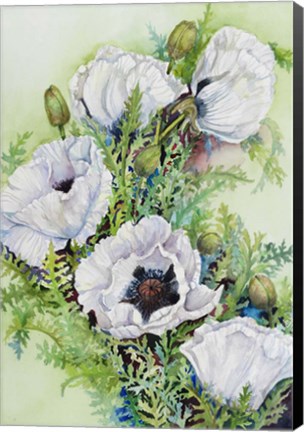 Framed White Poppies Print
