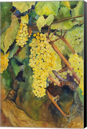Framed Yellow Grapes Print