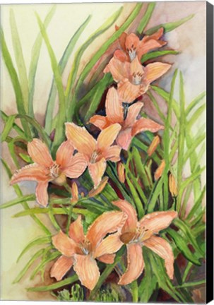 Framed Cluster of Lilies Print