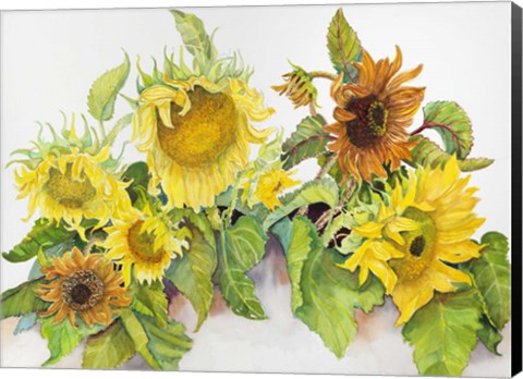 Framed Gold and Bronze Sunflowers Print
