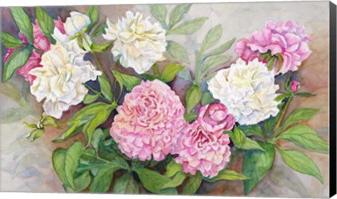 Framed Peonies from a Friend Print