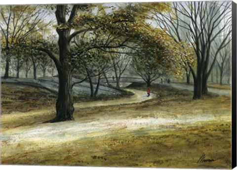 Framed Central Park December Print
