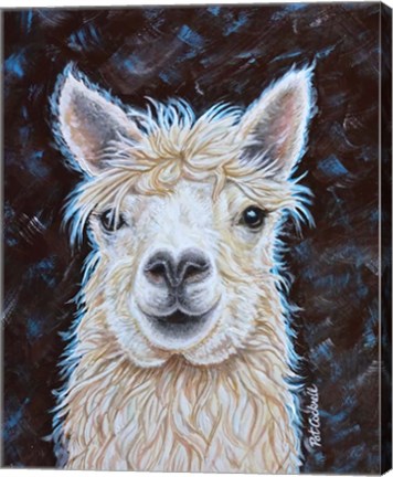 Framed Alpaca Print