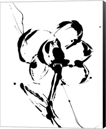 Framed Flower Squiggle I Print