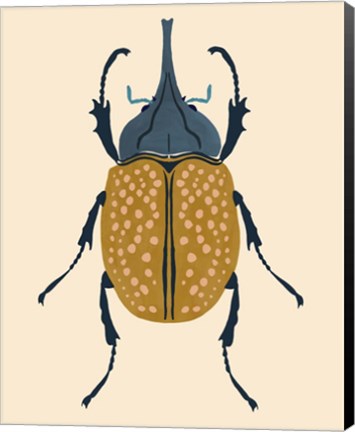 Framed Beetle Bug II Print