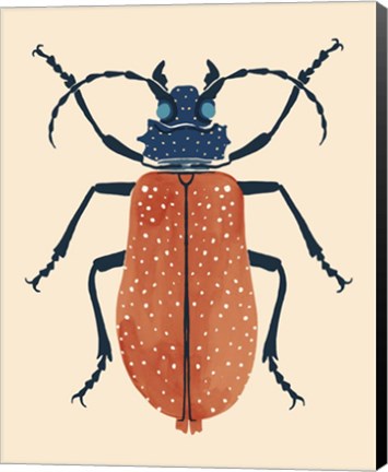 Framed Beetle Bug III Print