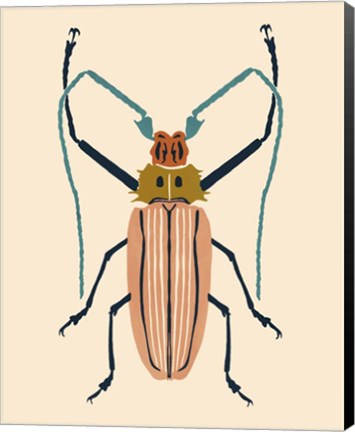 Framed Beetle Bug IV Print